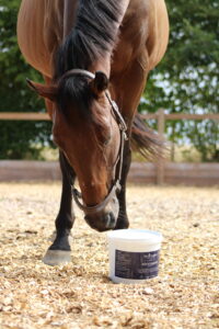 Comment choisir un complément alimentaire pour son cheval ? 7 questions à se poser